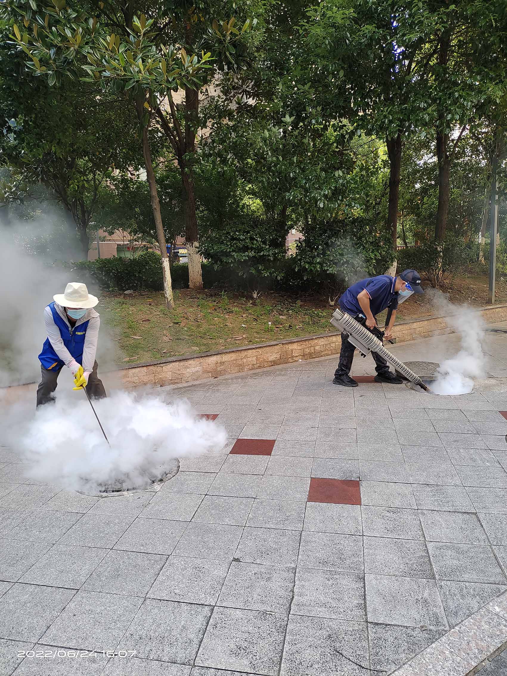 小區蚊蠅蟑螂密度控制服務